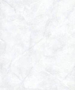 Gach Dong Tam 3045roca001